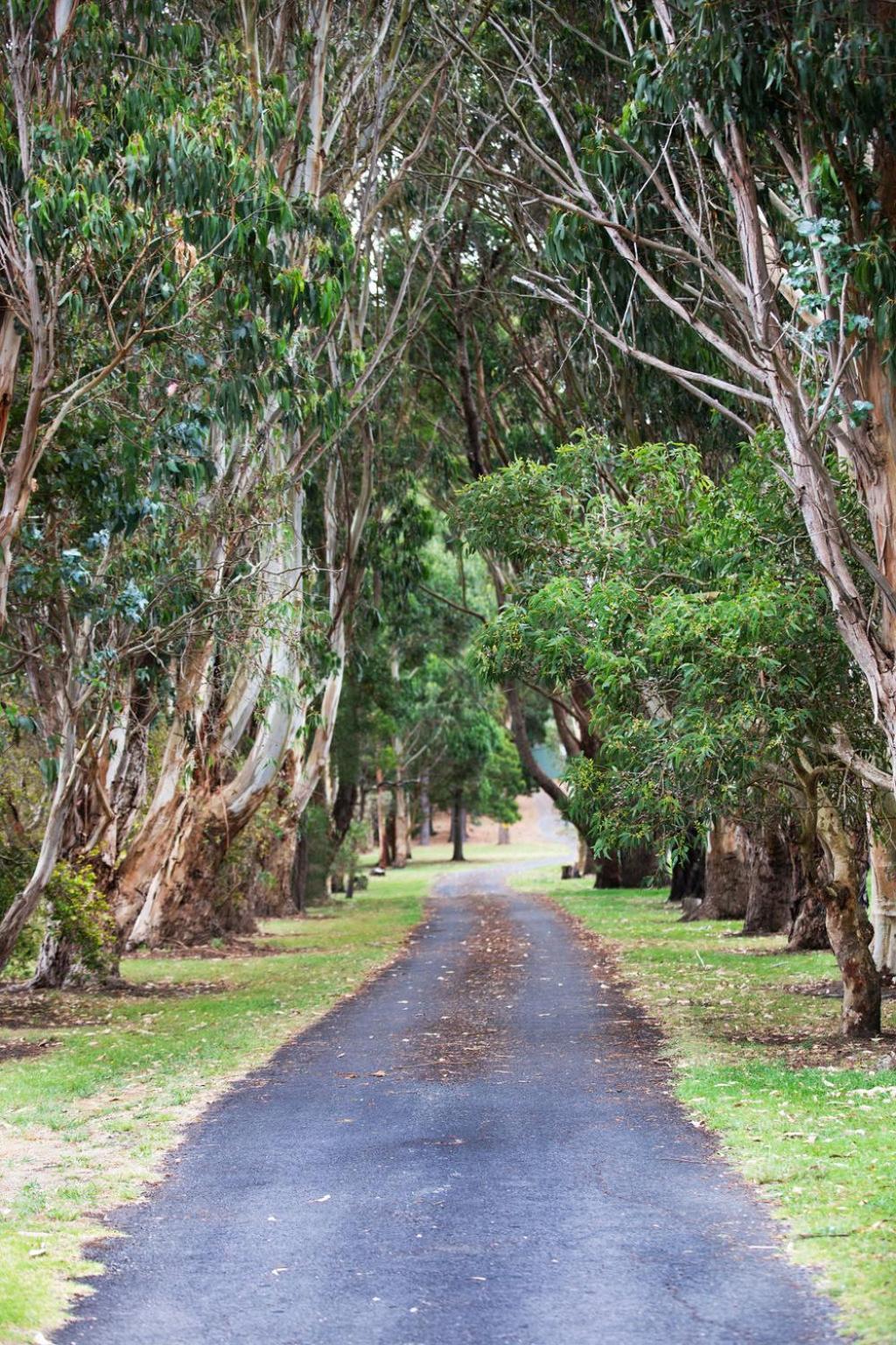 Clarendon Chalets Mount Gambier Exteriör bild